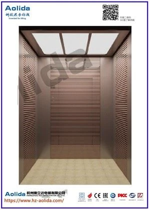 Chất lượng vượt trội Hiệu suất ổn định Thang máy gia đình biệt thự nhỏ