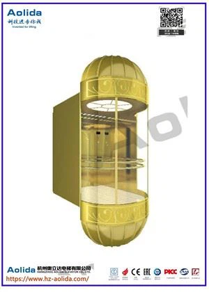Thang máy toàn cảnh với cài đặt tinh tế